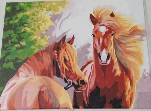 Фотографии готовых работ картин по номерам и алмазной мозаики