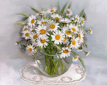 Без бренда «2KMA-0021» в Волжском