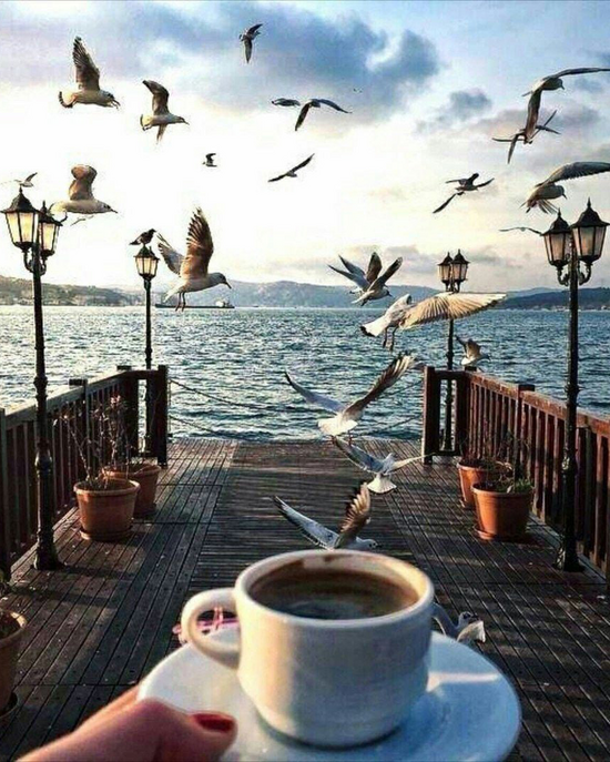 Алмазная мозаика 40x50 2KMB-1952