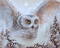 Без бренда «2KMB-3848» в Волжском