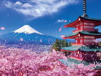 Без бренда «2KSB-7277» в Волжском