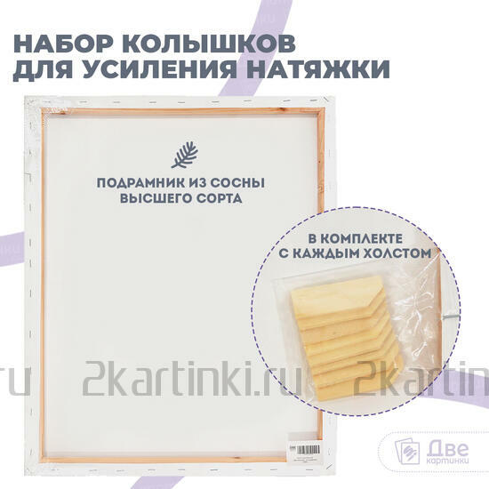 Тип товара Холст Две картинки на подрамнике 50X60