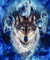 Без бренда «BOX40-2KXSB-0687» в Волжском