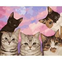 Без бренда «Такие разные котики» в Волжском в интернет-магазине  Без бренда «Такие разные котики» в Волжском