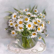 Без бренда «Букет свежих ромашек» в Волжском