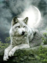 Без бренда «Коробка 25 шт. картин по номерам BOX25-GX21058» в Волжском