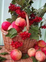 Без бренда «Коробка 25 шт. картин по номерам BOX25-GX5174» в Волжском