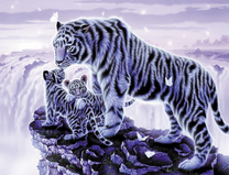 Черно-белые тигры с детишками и бабочки