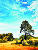 Без бренда «Осенний пейзаж с голубым небом» в Волжском в интернет-магазине  Без бренда «Осенний пейзаж с голубым небом» в Волжском