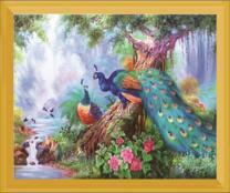 Пара павлинов и журавлей под деревьями у реки