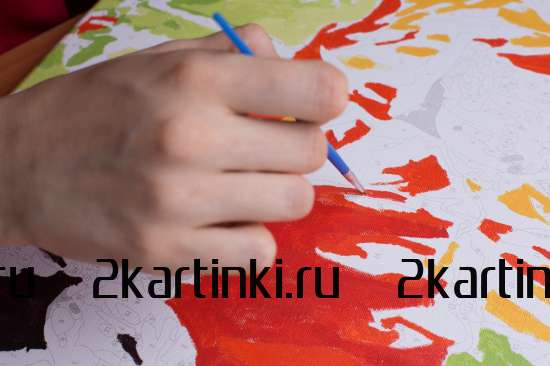Картина по номерам 40x50 GX34720 Пёстрые бабочки над рекой за 440 руб.  в интернет-магазине  Картина по номерам 40x50 Пёстрые бабочки над рекой