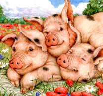 Три свиньи на маковом поле
