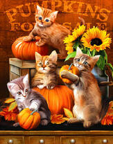 Милые котята с осенним урожаем тыкв
